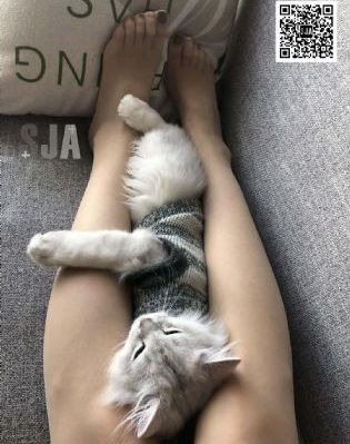 大地资源网高清免费观看_BD国语在线手机播放