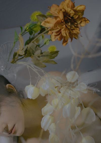黑帮大佬和我的365日第一季免费_剧情片高清视频观看